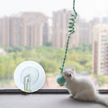 Interactive Hanging Cat Toy