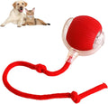 Rolling Interactive Dog Ball