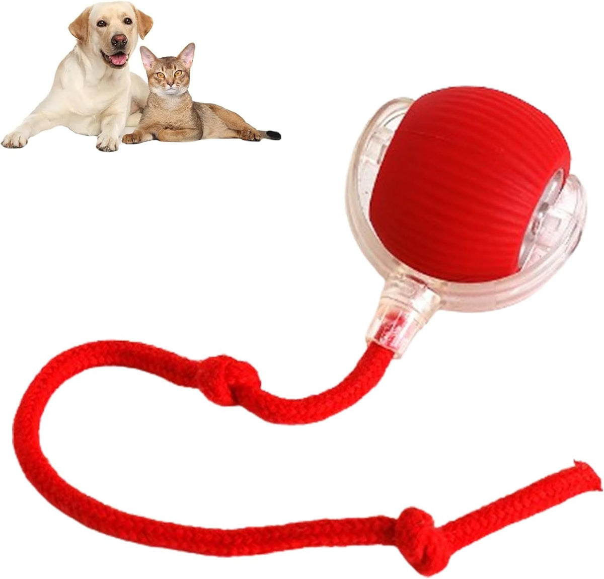 Rolling Interactive Dog Ball