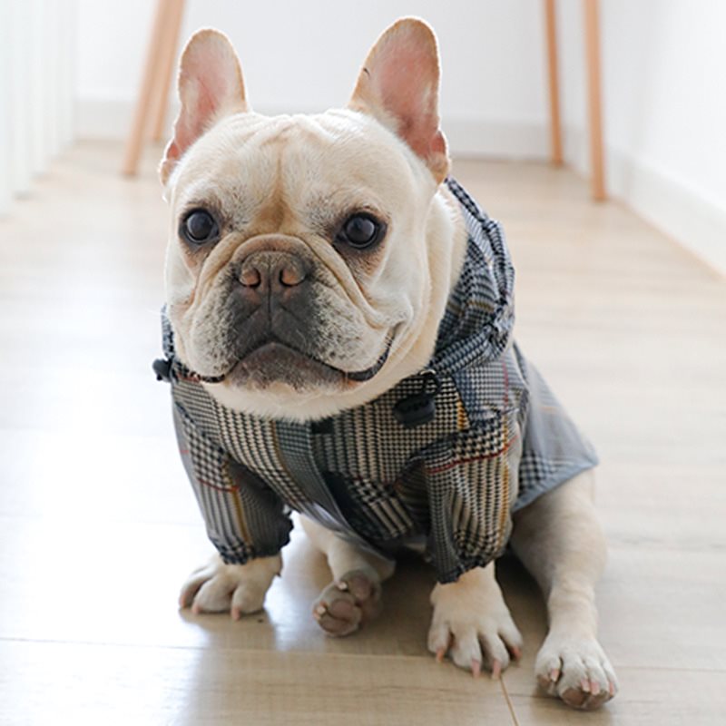 Hooded Waterproof Dog Raincoat