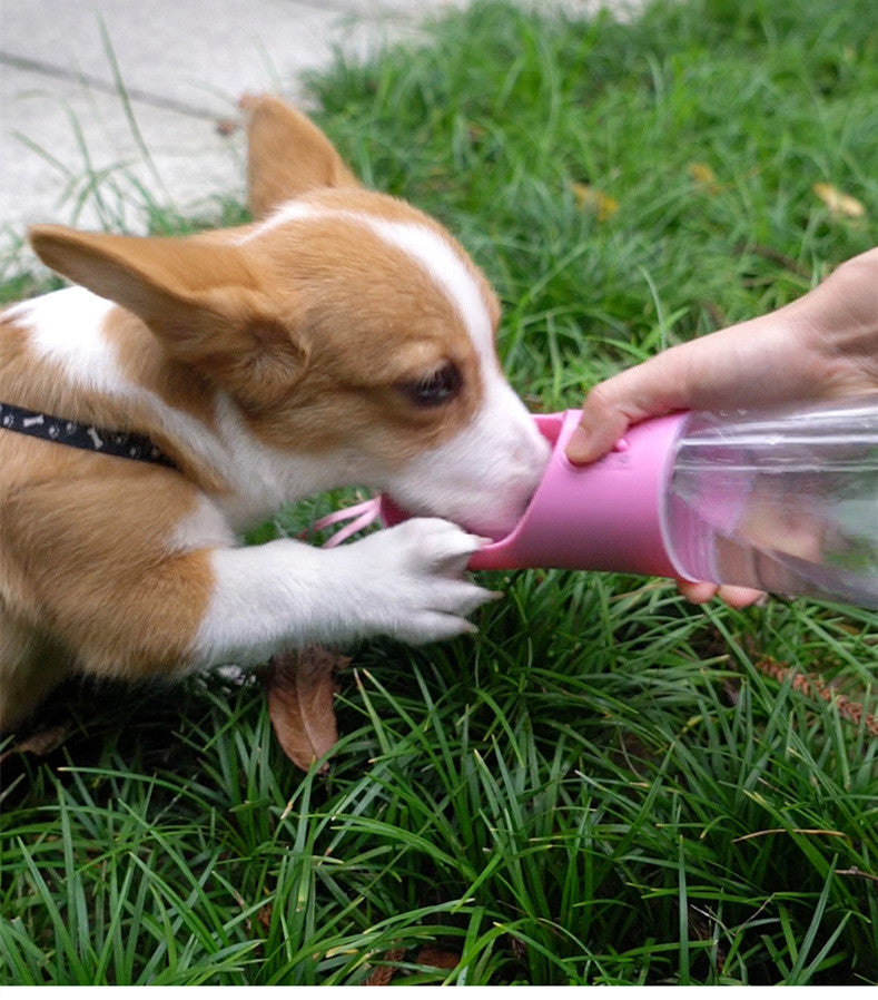 Portable Dog Water Bottle