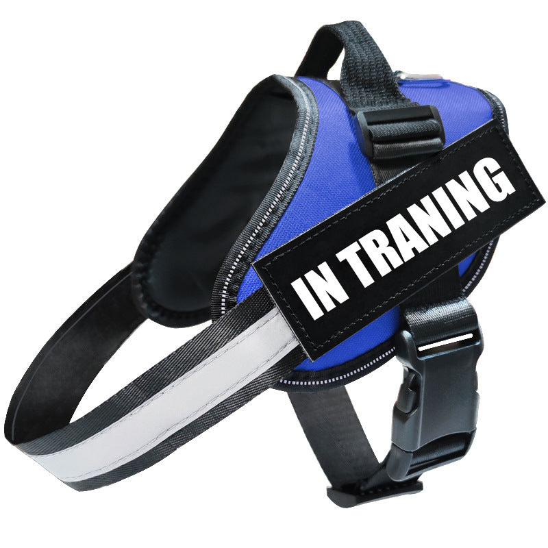 Reflective Dog Leash