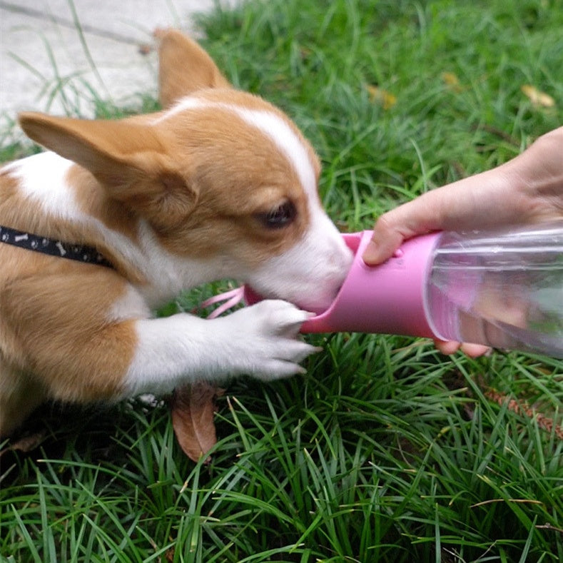 Portable Dog Water Bottle