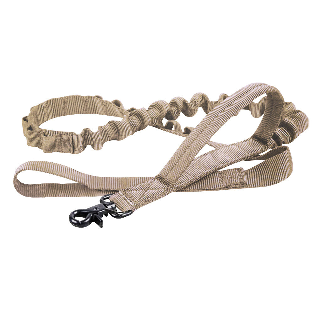 Adjustable Nylon Collar and Leash Set