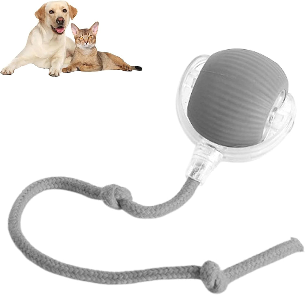 Rolling Interactive Dog Ball