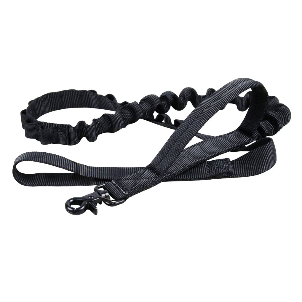 Adjustable Nylon Collar and Leash Set