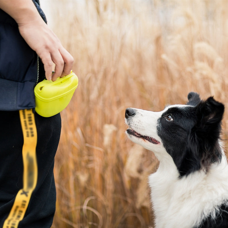 Dog Training Treat Pouch