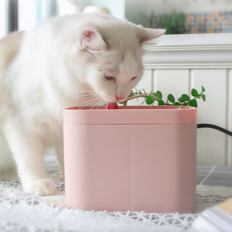 Quiet Pet Water Fountain