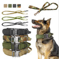 Adjustable Nylon Collar and Leash Set