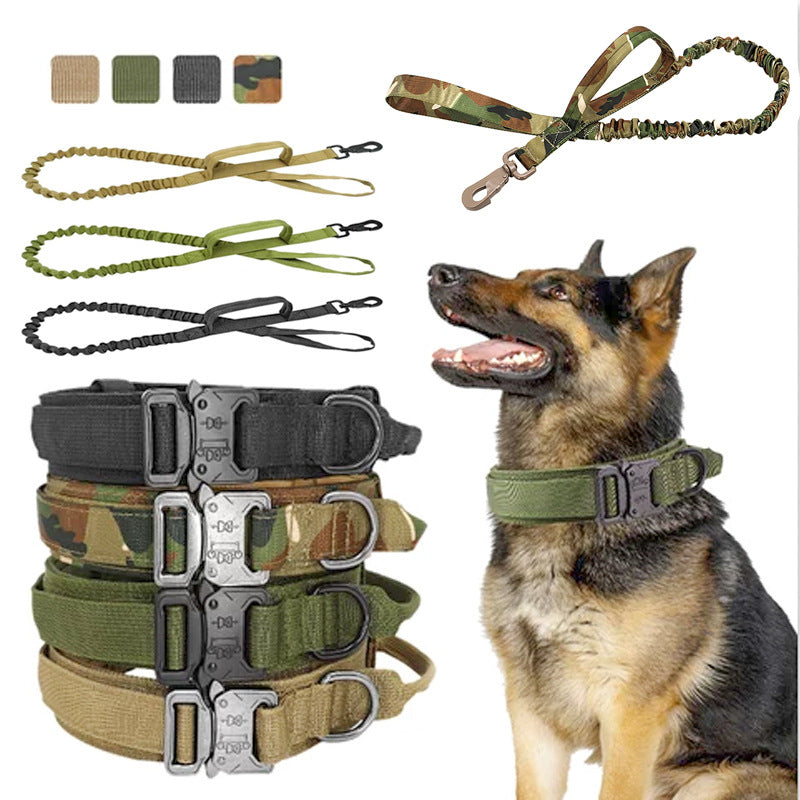 Adjustable Nylon Collar and Leash Set