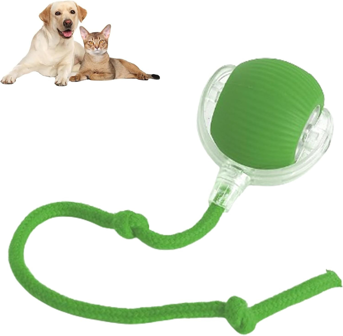 Rolling Interactive Dog Ball