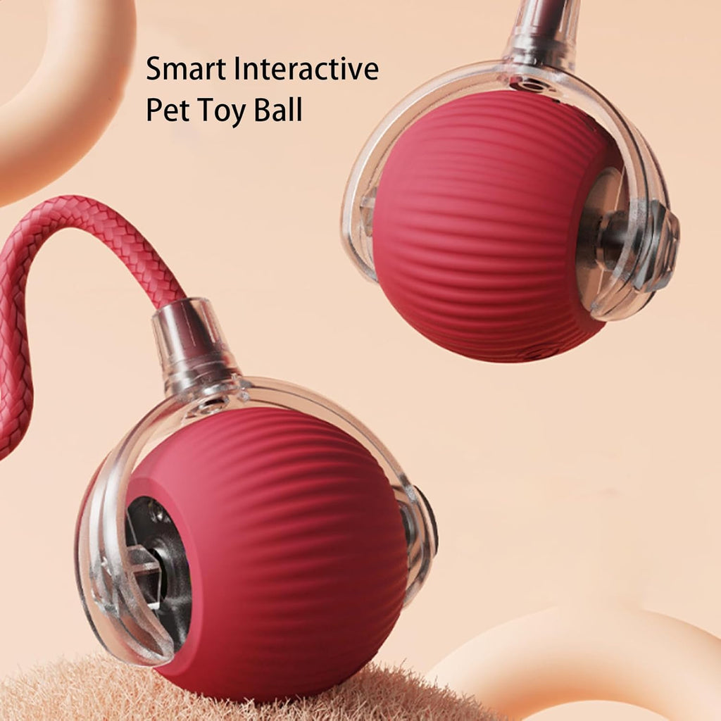 Rolling Interactive Dog Ball