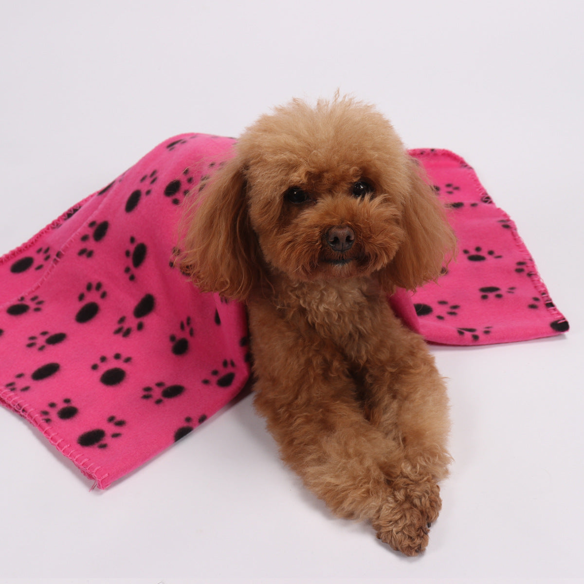 Soft Fleece Pet Blanket